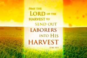 THE HEDGE: Laboring for the Lord