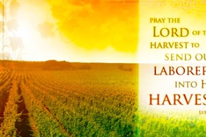 THE HEDGE: Laboring for the Lord