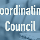 The BMA of America Coordinating Council Report