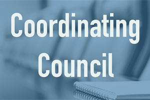 The BMA of America Coordinating Council Report