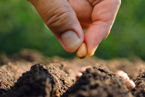 THE HEDGE: Kentucky-Fried Vacation