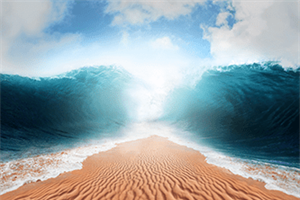 WMA: Somewhere Beyond the Sea