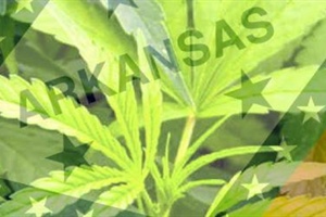 Marijuana Amendment Fails for Now