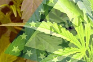 Marijuana Amendment Fails for Now