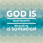 THE HEDGE: Courageous Trust in God’s Sovereignty