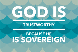 THE HEDGE: Courageous Trust in God’s Sovereignty