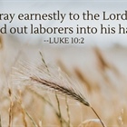 Pray for Laborers