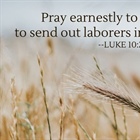 Pray for Laborers