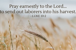 Pray for Laborers