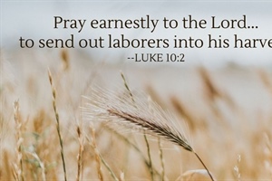 Pray for Laborers