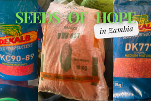 SPOTLIGHT ON MISSIONS: Mickeal & Sharon Quillman • Zambia