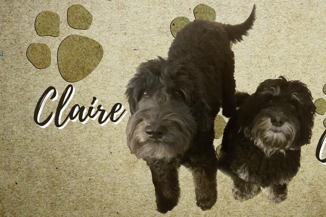 STUDENT MINISTRY: Are You a Claire or a Claude?