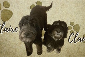 STUDENT MINISTRY: Are You a Claire or a Claude?