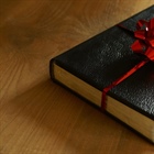 STUDENT MINISTRY: We Gave Them A Bible . . . Now What?