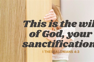 MORAL ACTION AGENCY: Lewdness