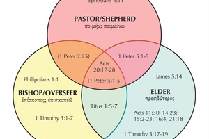 Three New Testament Words for Pastor