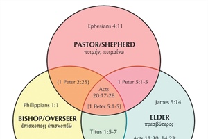 Three New Testament Words for Pastor