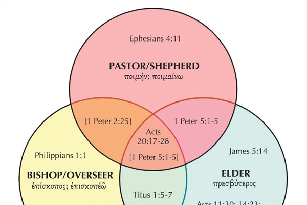 Three New Testament Words for Pastor