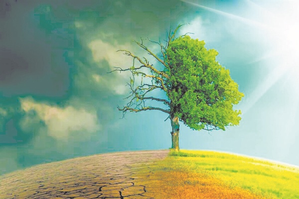 CLEAVER: Juxtaposition Again