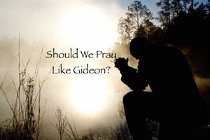 LEAVE IT TO CLEAVER: When God Doesn't Guide