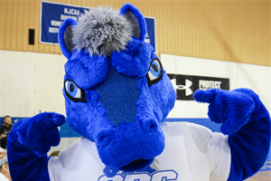 CBC SPORTS: Mustangs Sweep AMC Weekly Baseball Honors