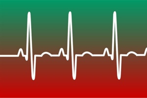 TRUMPET NOTES: December 15, 2021