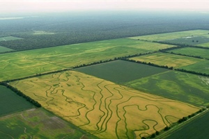 TRUMPET NOTES: August 10, 2022