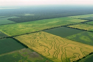 TRUMPET NOTES: August 10, 2022