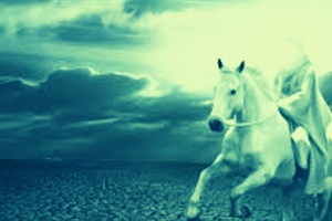 STAND FIRM: The Great Deception Trap is Set (part 2)