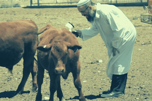 STAND FIRM: Biggest Prophetic Event in 2022