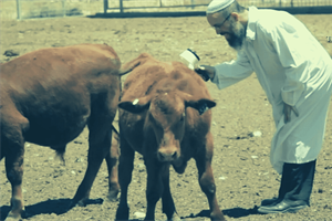 STAND FIRM: Biggest Prophetic Event in 2022