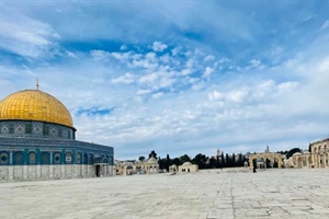 STAND FIRM: On the Ground in Israel - Why I Went