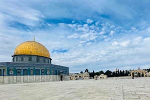 STAND FIRM: On the Ground in Israel - Why I Went