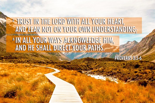 EVERYTHING WE NEED: The Pulpit Committee