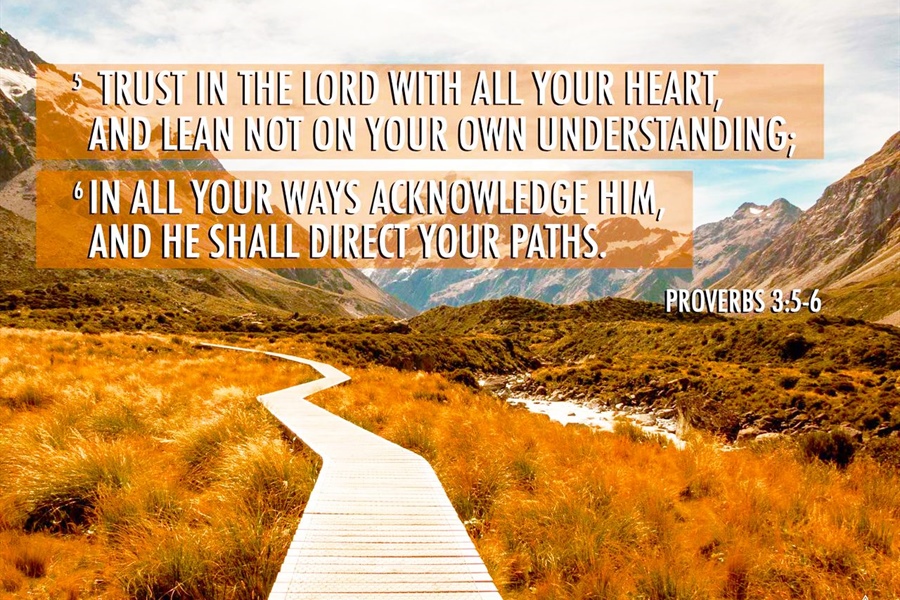 EVERYTHING WE NEED: The Pulpit Committee