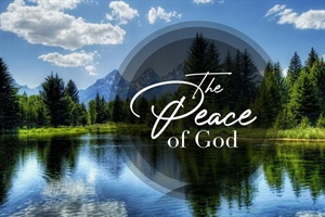 EVERYTHING WE NEED: Peace: Is it Beyond Our Reach?