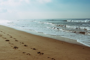 EVERYTHING WE NEED: Unseen Footprints