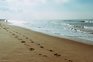 EVERYTHING WE NEED: Unseen Footprints