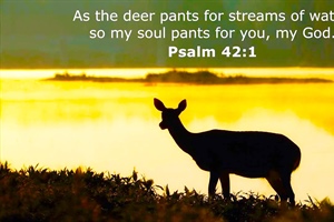 EVERYTHING WE NEED: A Thirst for God