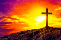 EVERYTHING WE NEED: The Solid Rock