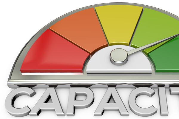 Building Missional Capacity