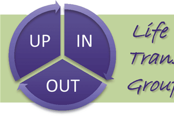 HEALTHY CHURCH: Life Transformation Groups