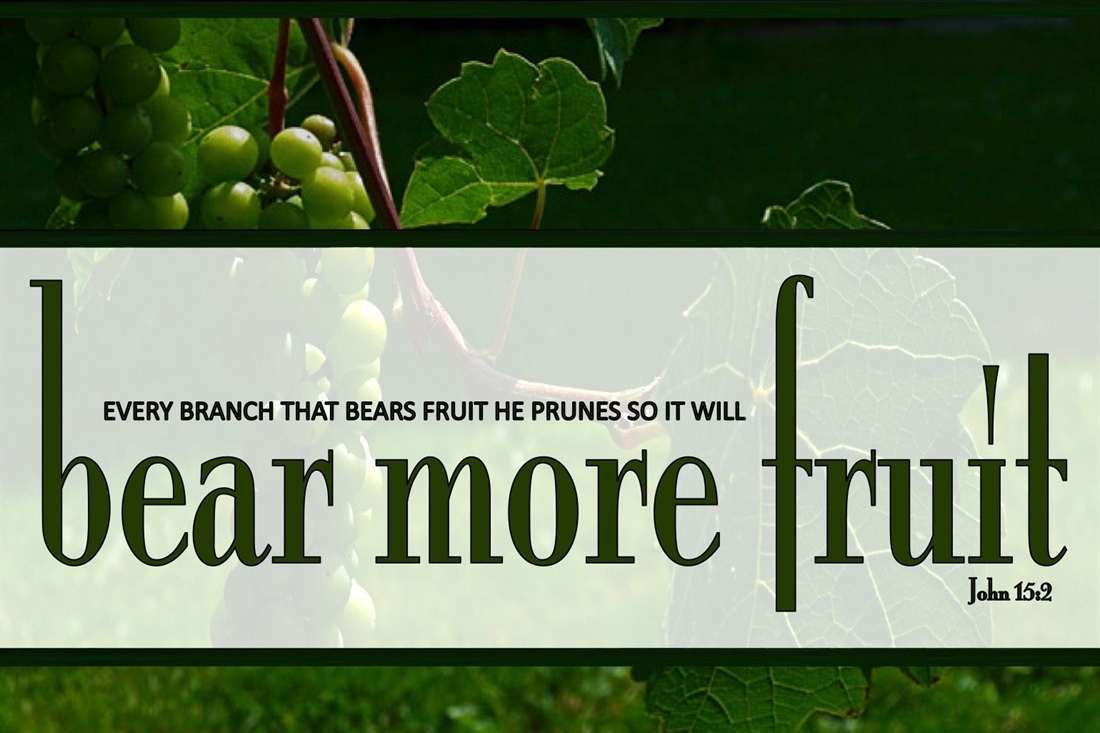 HEALTHY CHURCH: Fruitful, Lasting Ministry