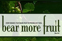 HEALTHY CHURCH: Fruitful, Lasting Ministry