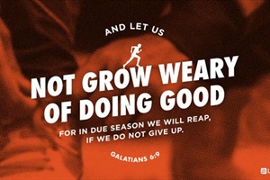 HEALTHY CHURCH: Seasons of Perseverance