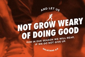 HEALTHY CHURCH: Seasons of Perseverance