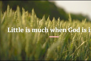 HEALTHY CHURCH SOLUTIONS: Small Things