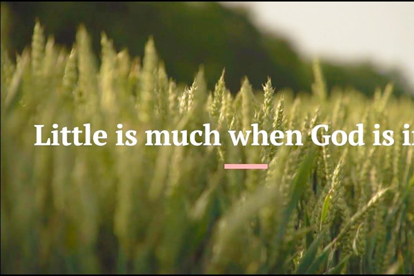 HEALTHY CHURCH SOLUTIONS: Small Things