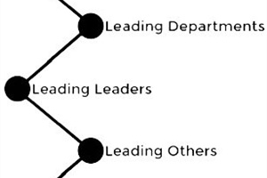 HEALTHY CHURCH: Leading Leaders