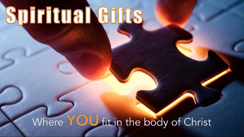 HEALTHY CHURCH: Understanding the Body